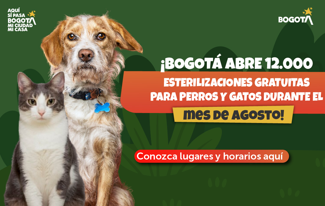 Bogotá celebra su cumpleaños con más 12.000 cupos gratuitos de esterilización para perros y gatos